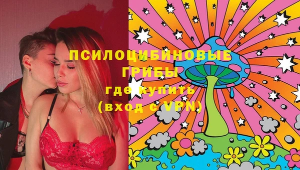 гидра Протвино